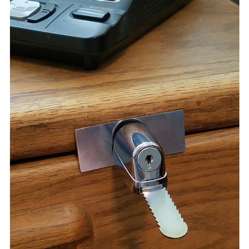 Desk Drawer Locks Keep your secrets safe with Prowling Lions